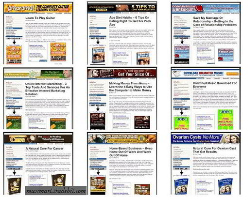 Product picture Ready To Upload Readymade Clickbank, Amazon and Adsense  Autopilot Website 